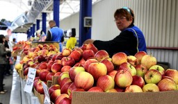 Продуктовые рынки Минска